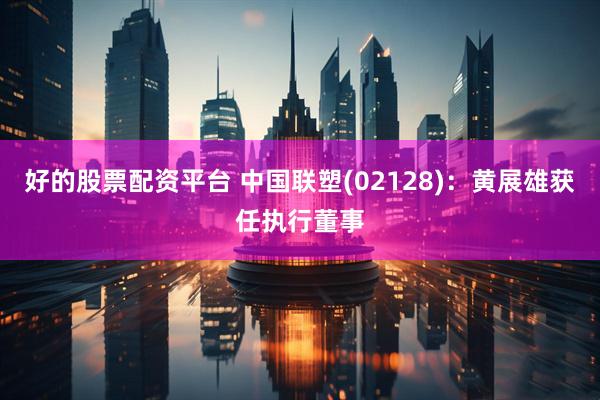 好的股票配资平台 中国联塑(02128)：黄展雄获任执行董事